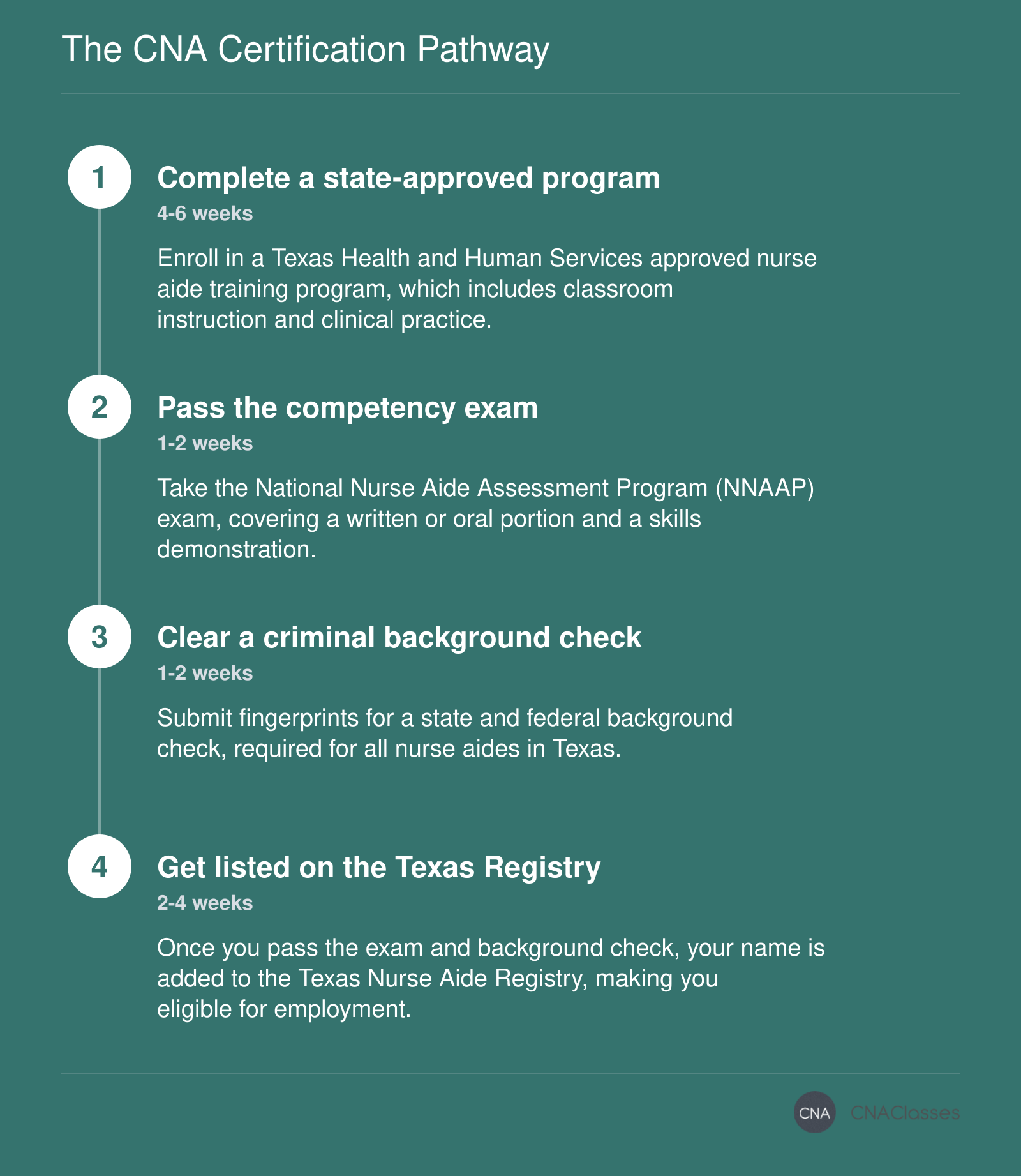 Four steps to CNA certification: training, exam, background check, and registry listing, completed in approximately 10-14 weeks.