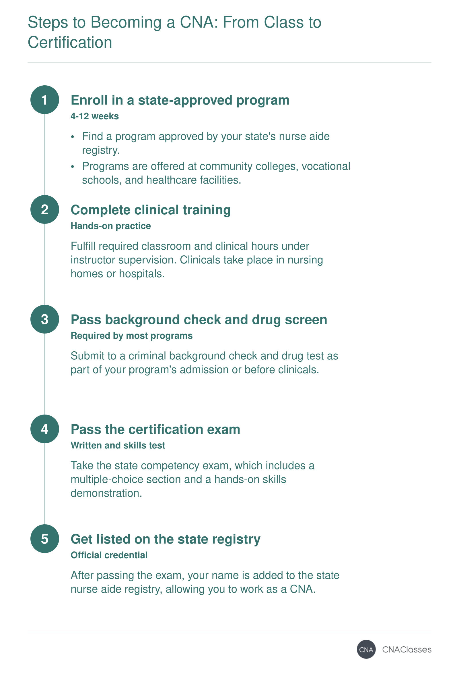 Steps to become a CNA: enroll in a state-approved program (4-12 weeks), complete clinical training, pass a background check and drug test, pass the certification exam, and get listed on the state nurse aide registry.