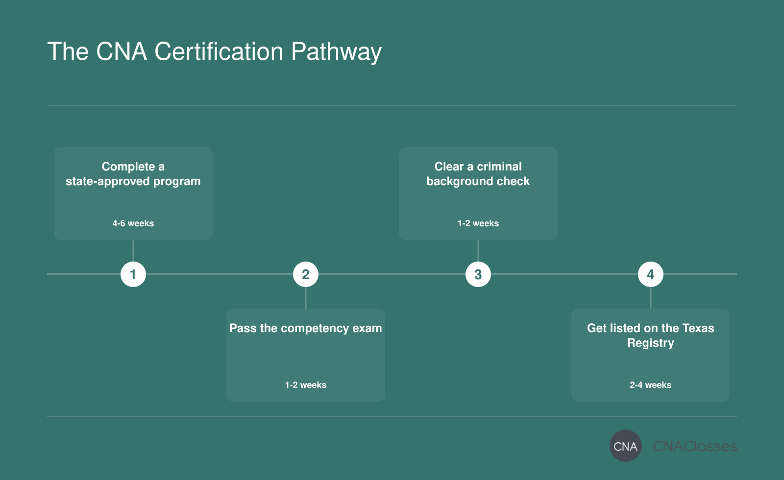 Four steps to CNA certification: training, exam, background check, and registry listing, completed in approximately 10-14 weeks.