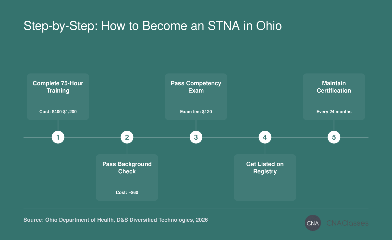 Five-step process to become a State Tested Nurse Aide in Ohio: training, background check, exam, registry listing, and renewal requirements.