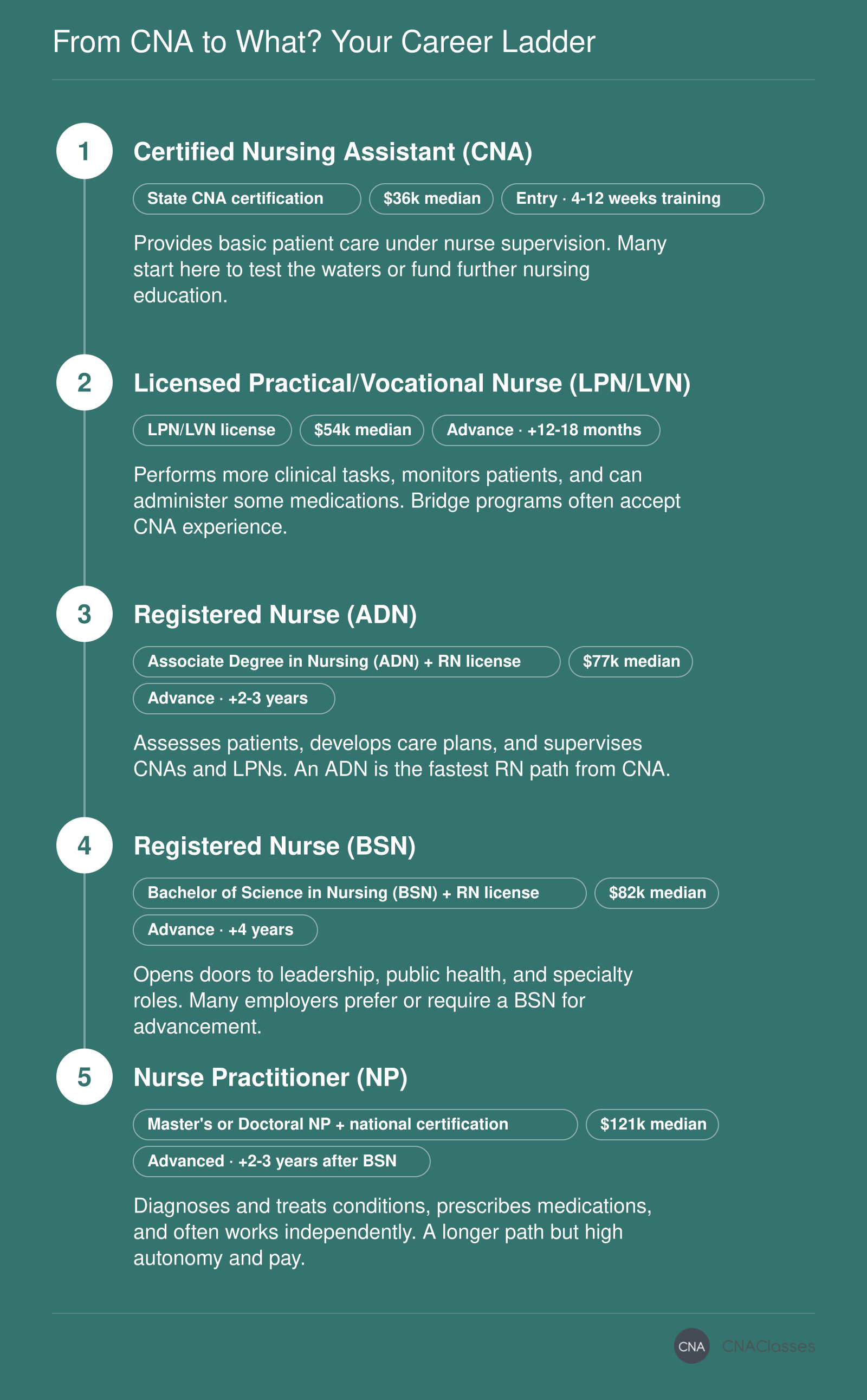 Career progression from CNA to LPN, RN, and nurse practitioner with typical training time and median salaries, 2026.