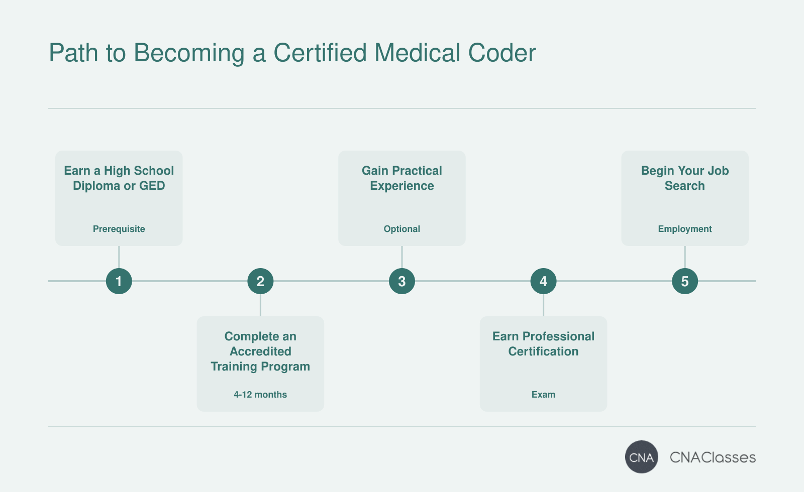 A five-step timeline: earn high school diploma, complete accredited training, gain practical experience (optional externship), earn certification, and begin job search.