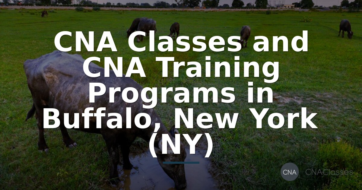 CNA Classes Buffalo NY | Free & Paid Training Programs (2026)
