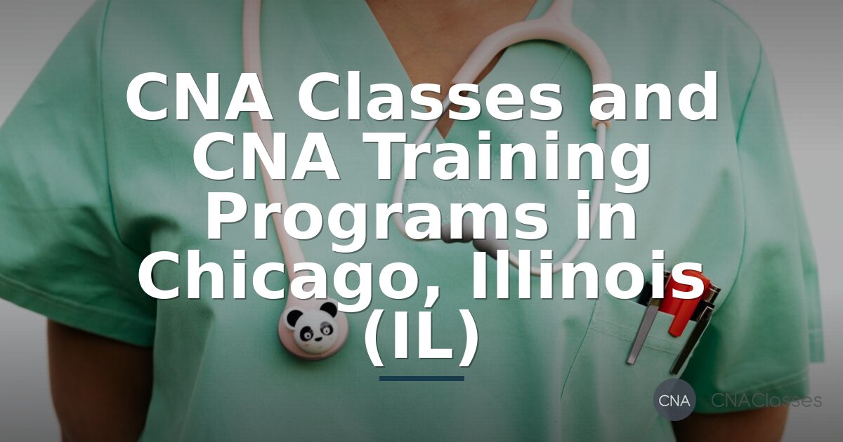 Best CNA Programs in Chicago IL: Classes & Training