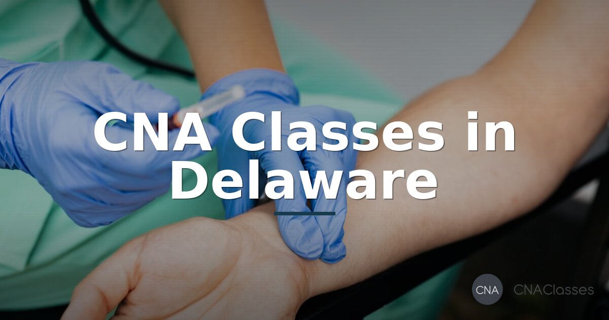Best CNA Classes in Delaware (Top-Ranked Programs 2026)