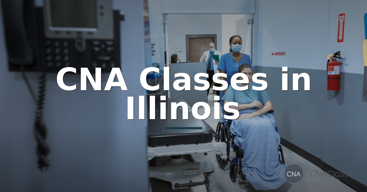 Best CNA Classes in Illinois (2026) | Top Programs & Training