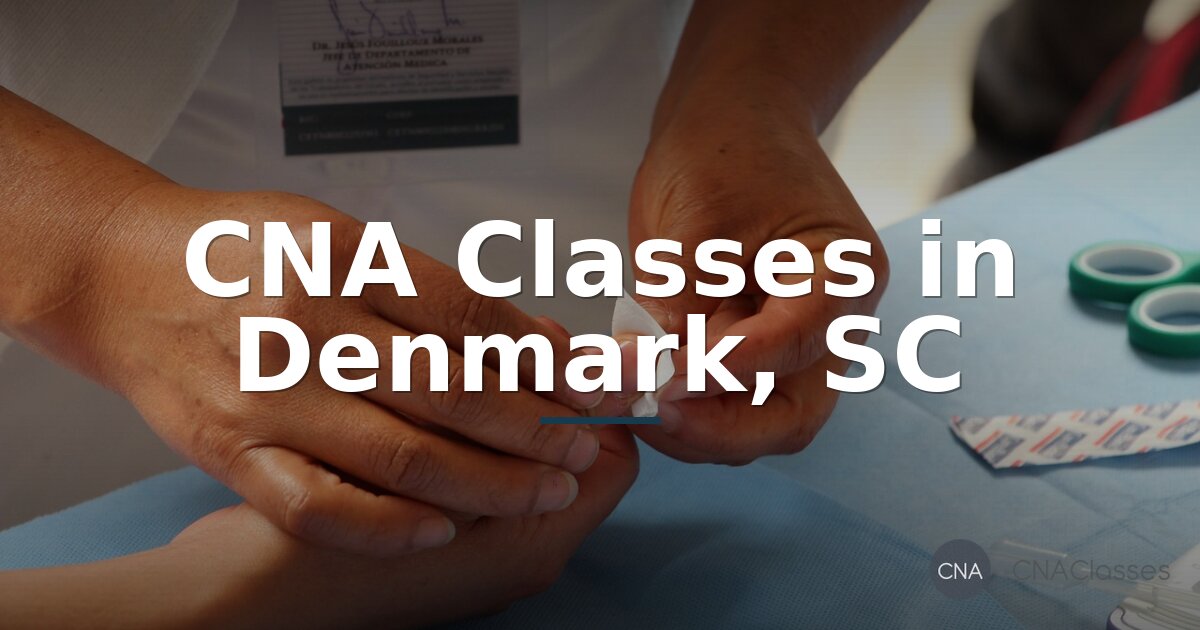 CNA Classes in Denmark, SC | Training Programs & Requirements