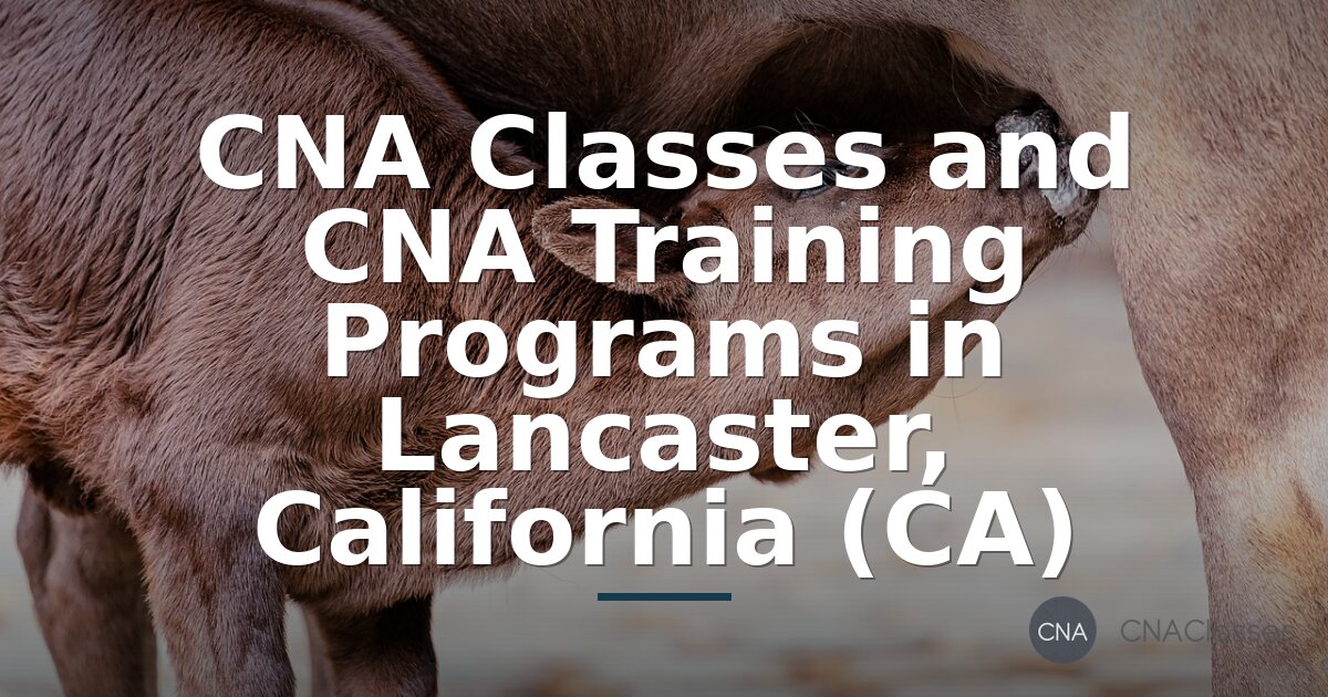 CNA Classes & Training in Lancaster, CA (2026 Guide)