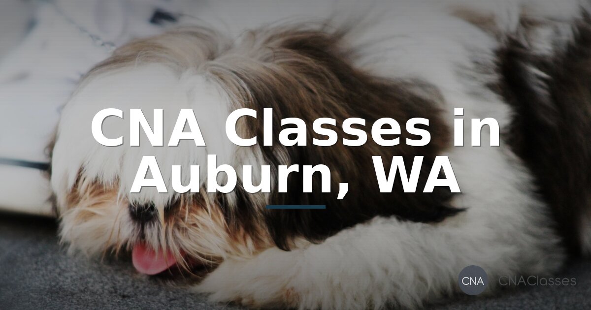 CNA Classes in Auburn, WA: Costs, Requirements & Schools