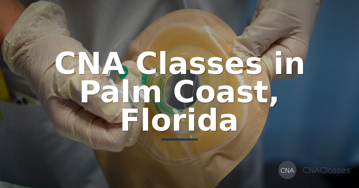CNA Classes in Palm Coast, FL: Local Training Guide