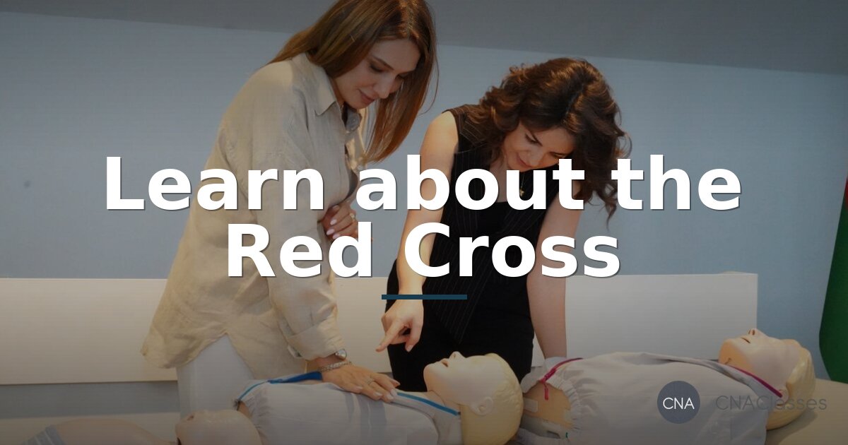 What Is the Red Cross? Mission & Services Explained