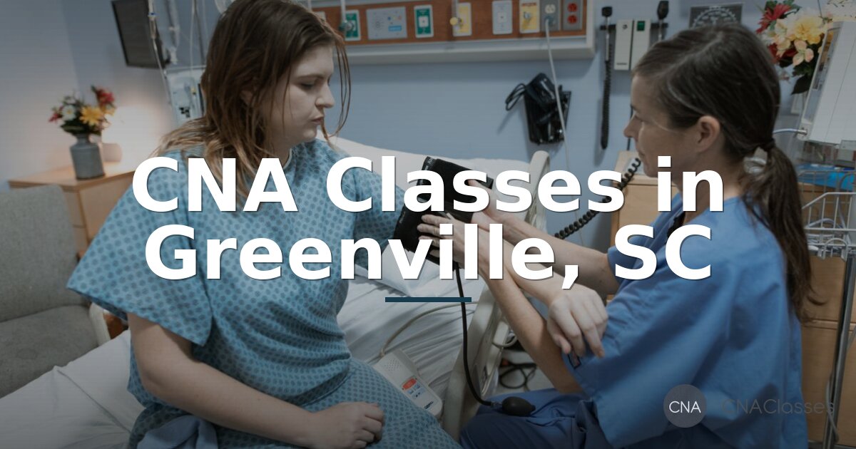 CNA Classes in Greenville, SC | Training & Certification Guide