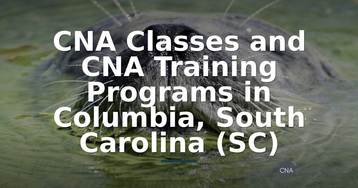 CNA Training Columbia SC: Compare Programs & Costs