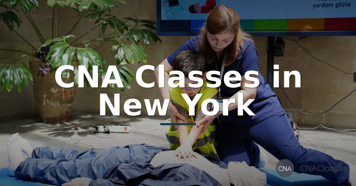 Best CNA Programs in New York (2026) | Top Training & Classes