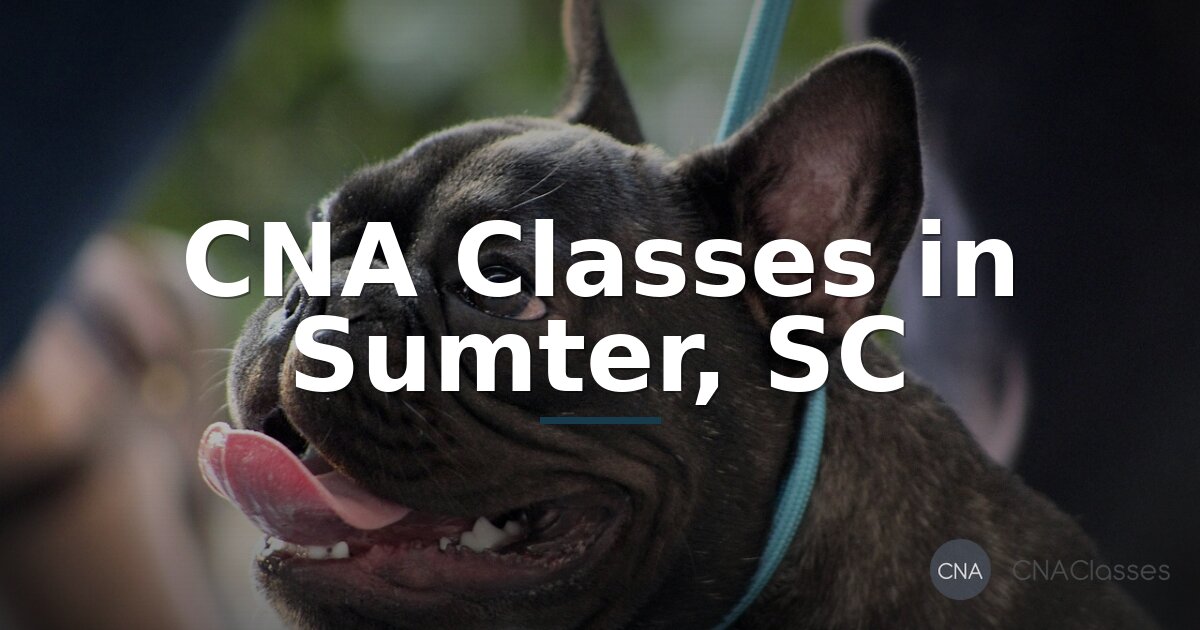 CNA Classes in Sumter, SC | State-Approved Training & Costs